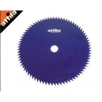 disco 80 denti
